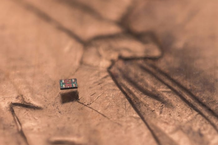 A penny dwarfs the researcher's microrobot